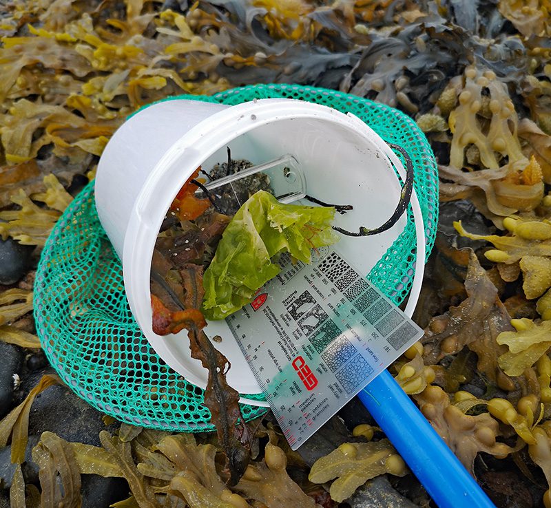Marine and Freshwater experiences,