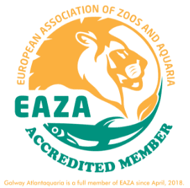 EAZA logo