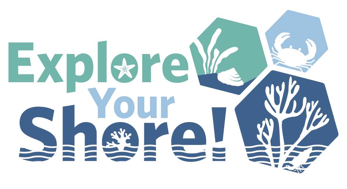explore your shore logo