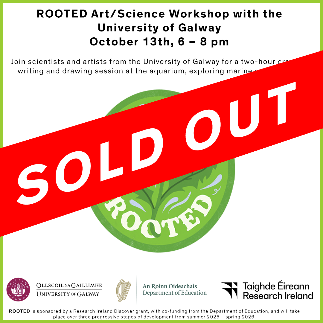 ROOTED social media 2