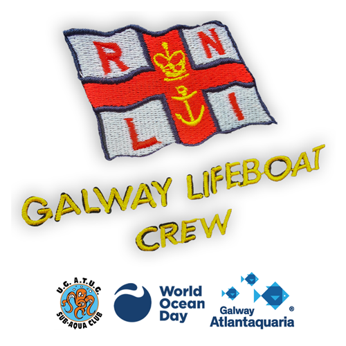 rnli 04 06 2025