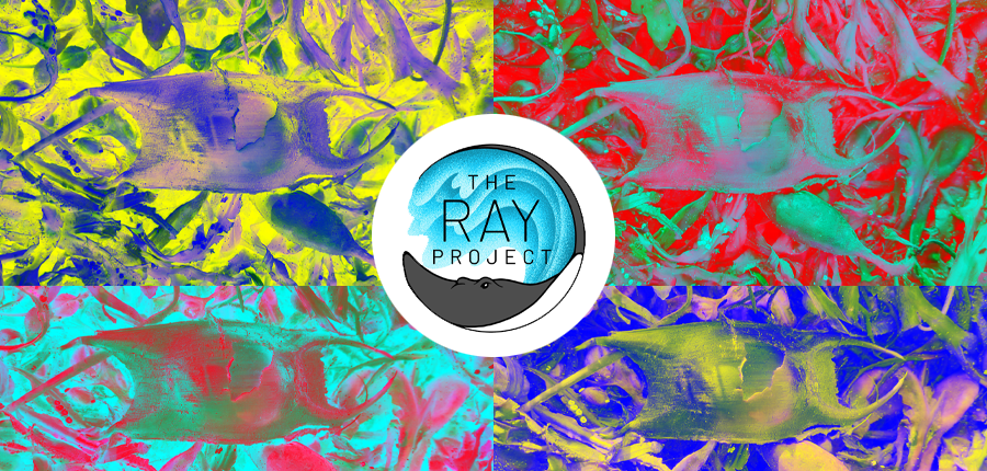 THE RAY PROJECT