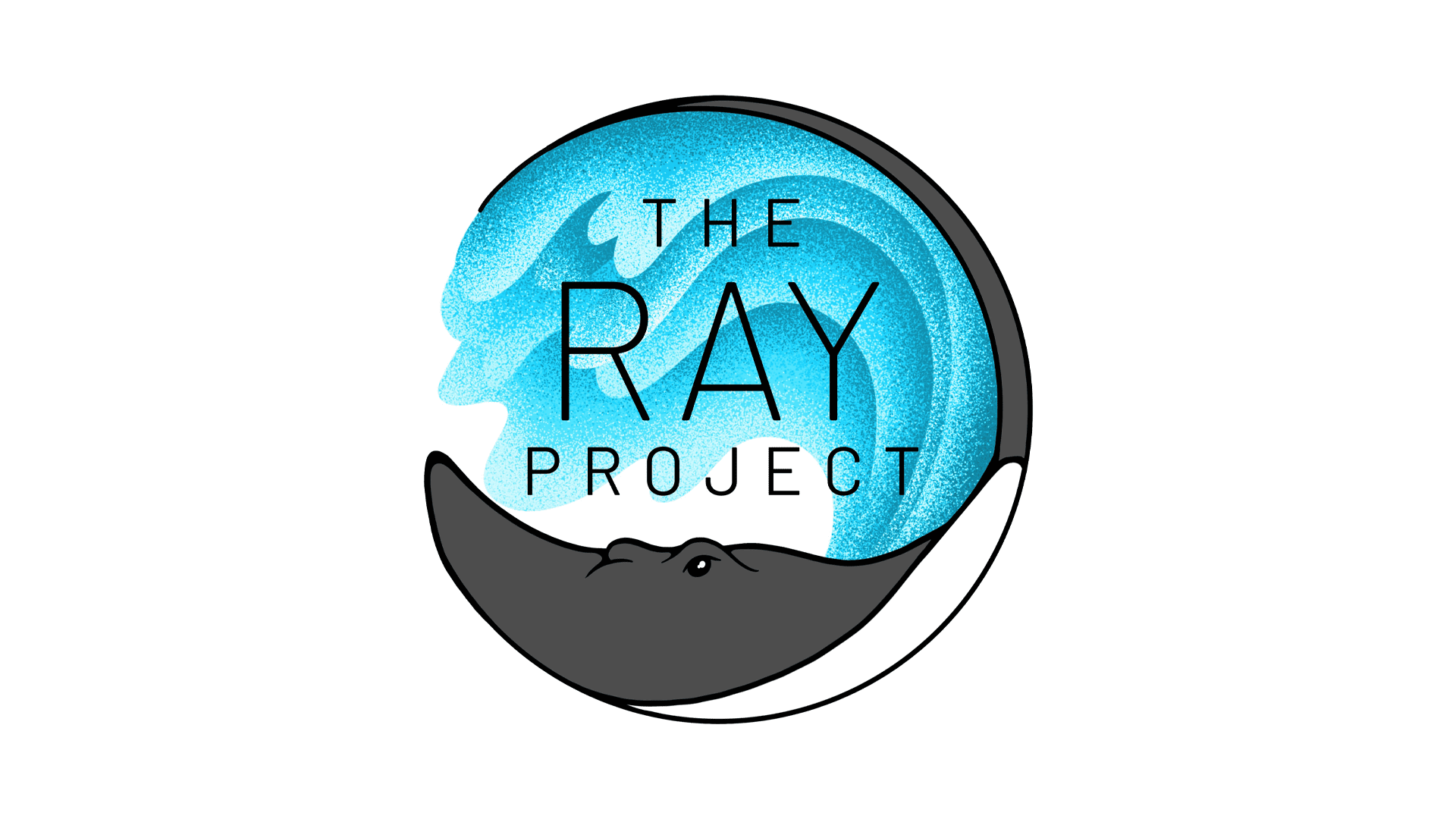 RAY PROJECT logo 