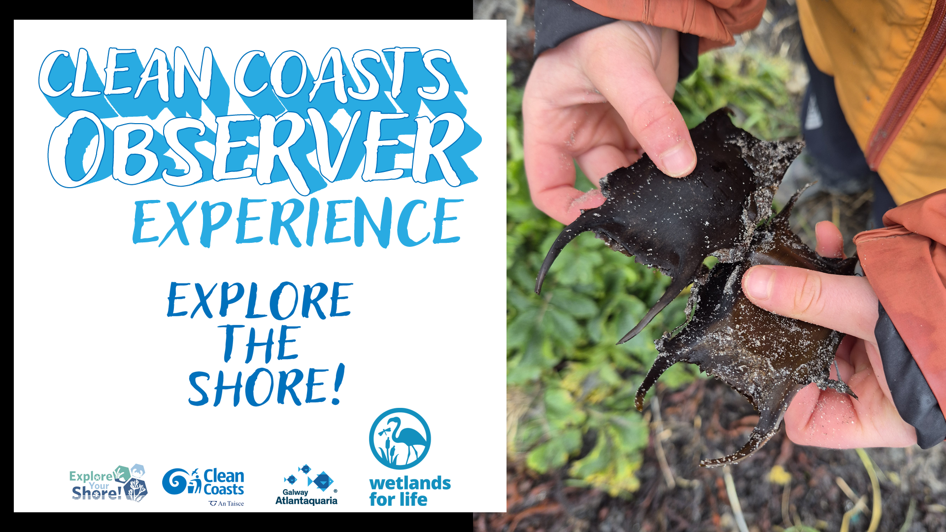 Clean Coasts Observer Ad
