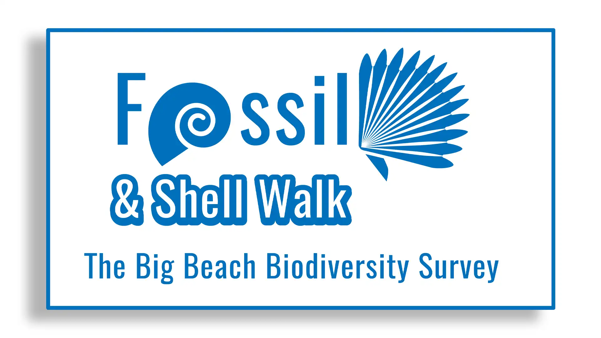 Fossil and Shell WALK 2025