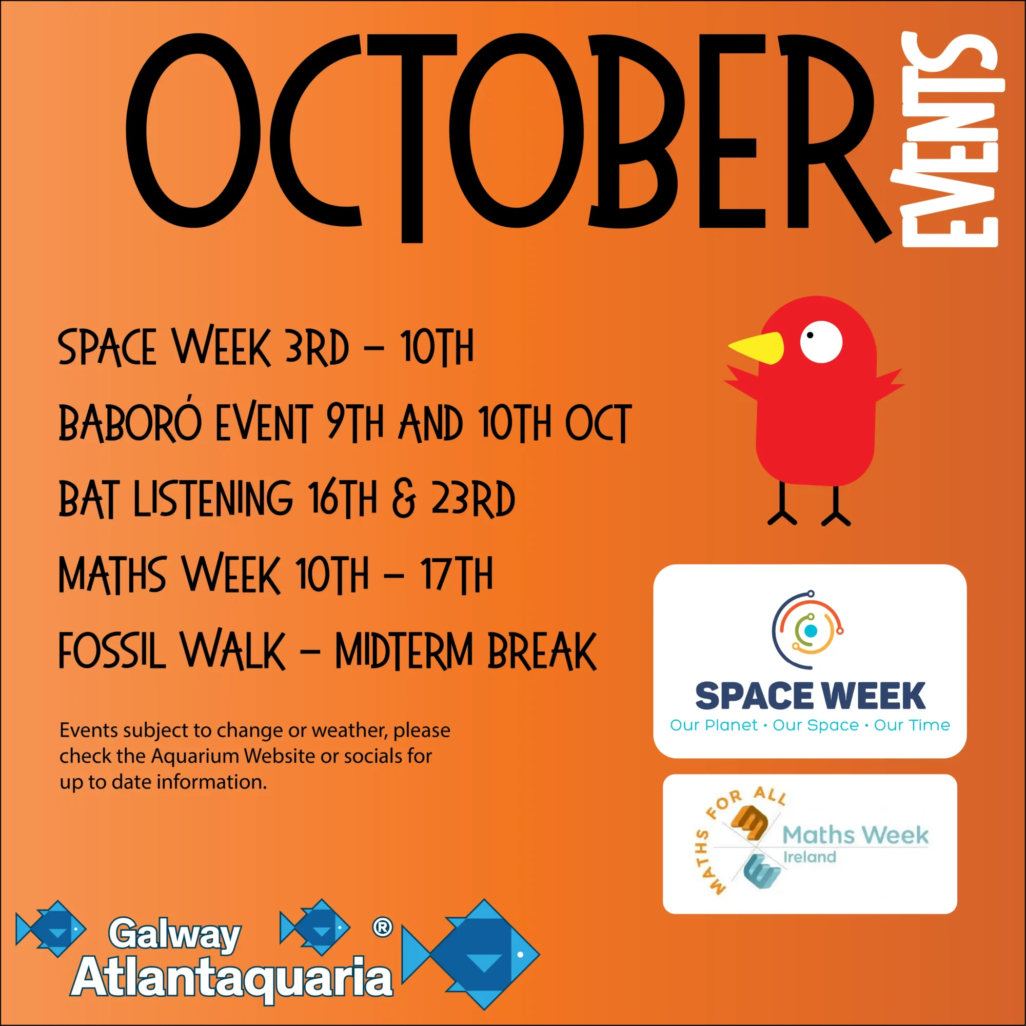 Some of the events in October like Space Week and Maths Week at the Aquarium in Galway
