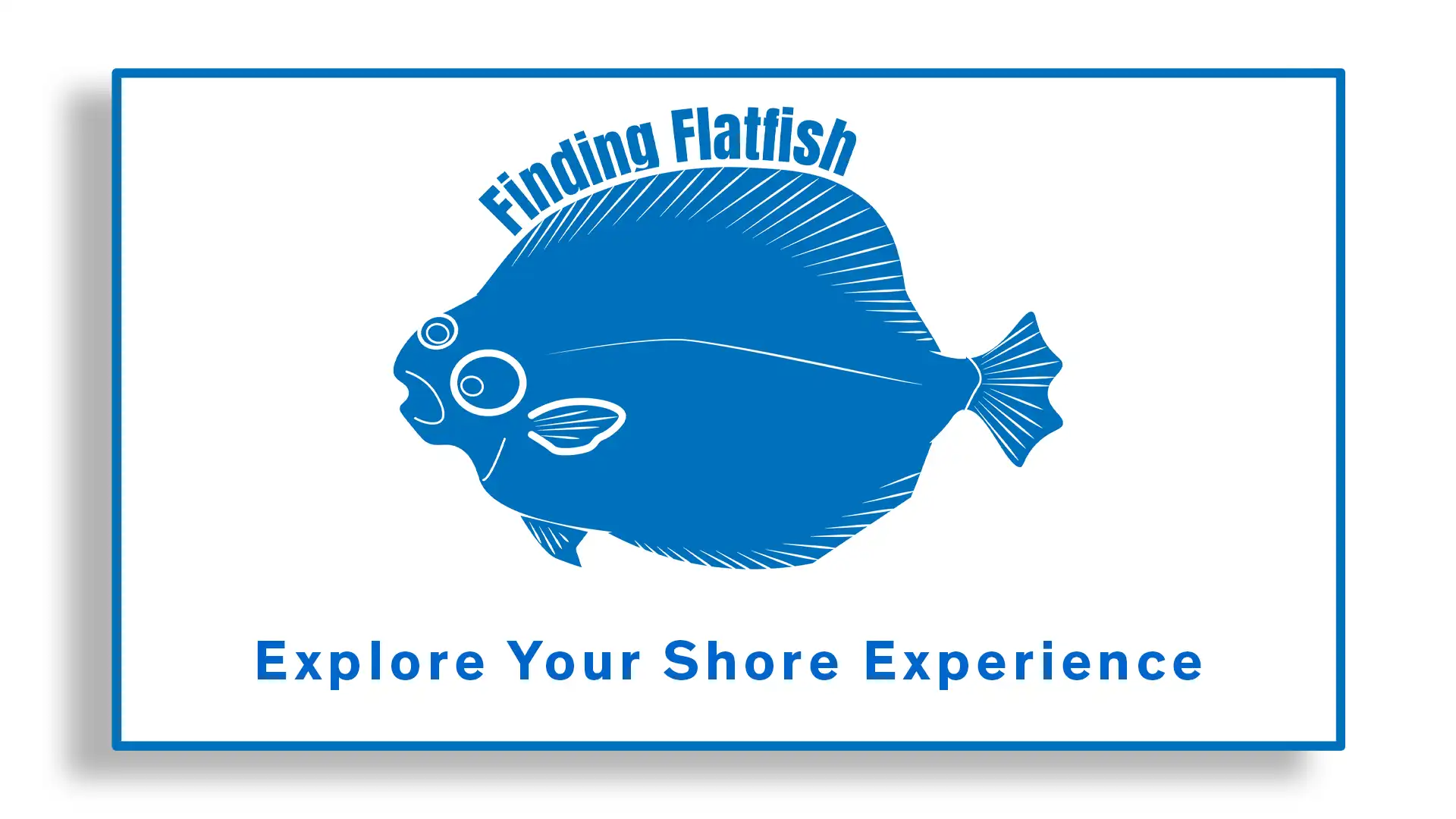 explore your shore