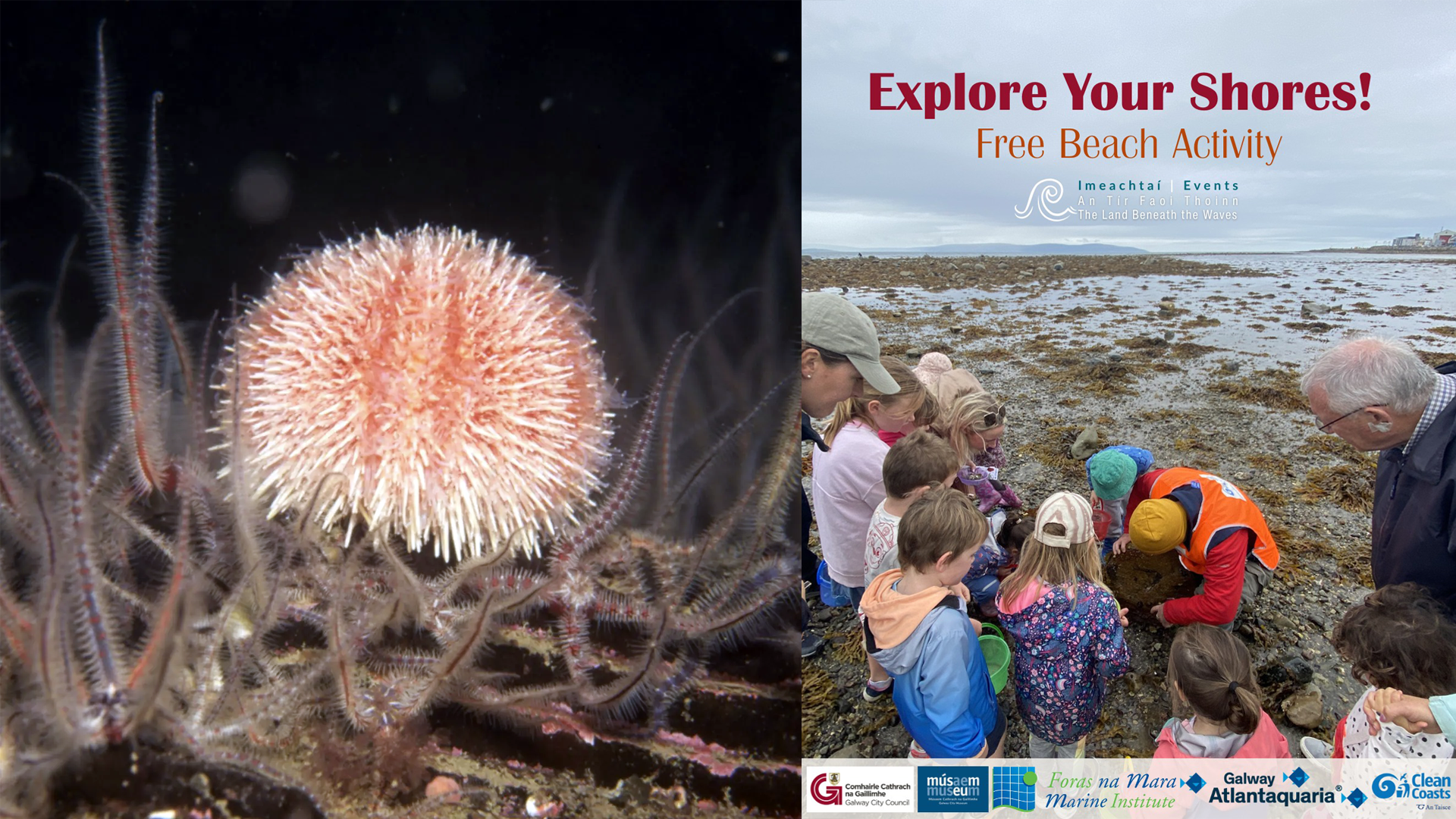 land benath the waves ad