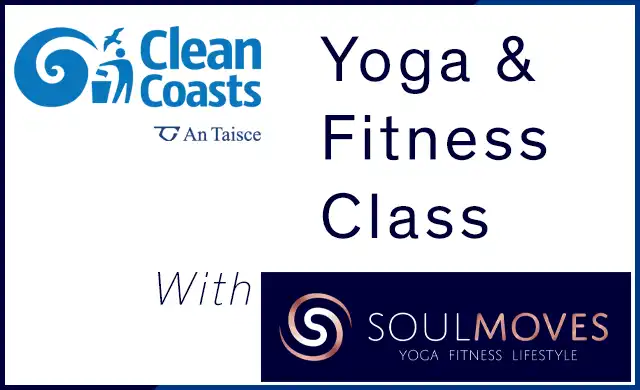 roller booking YOGA copy