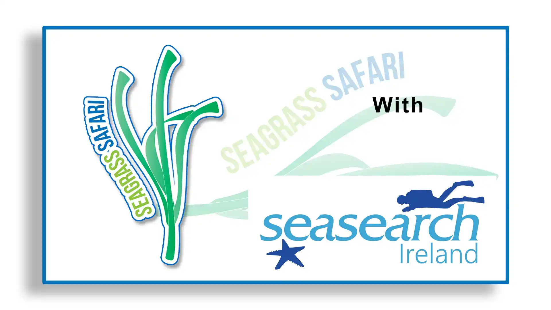 seagrass safari 2025 copy copy