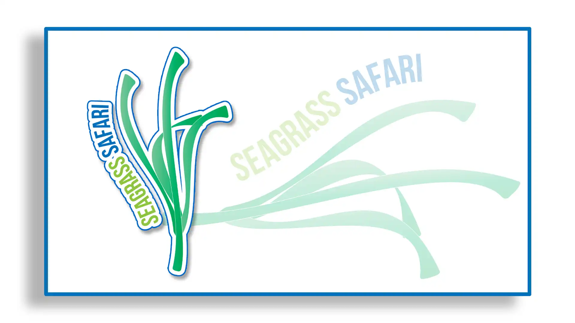 seagrass safari 2025 copy