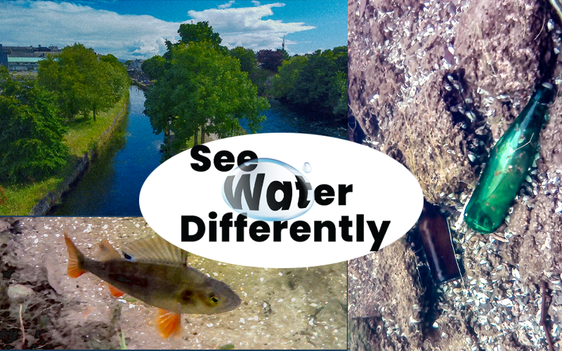 see water differently