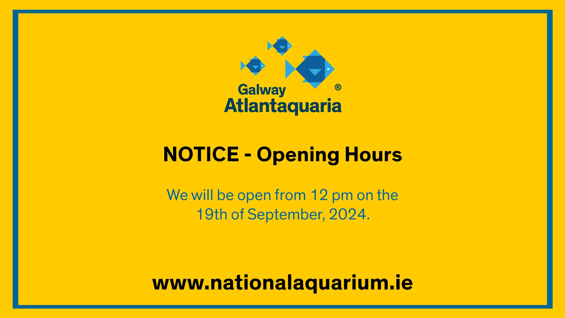 opening hours