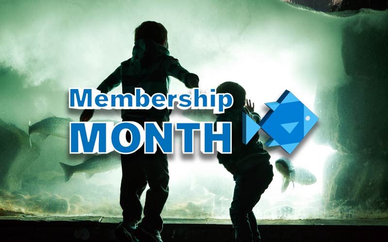 Membership Month