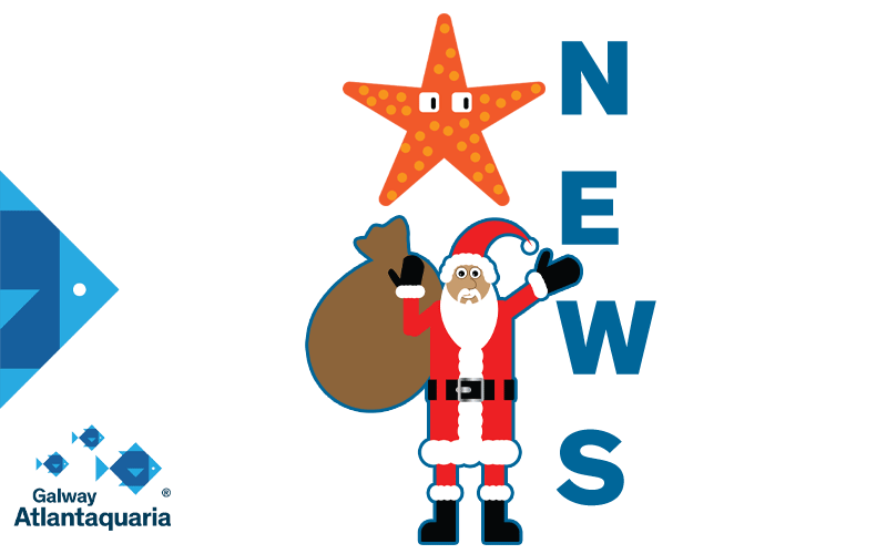 Christmas News