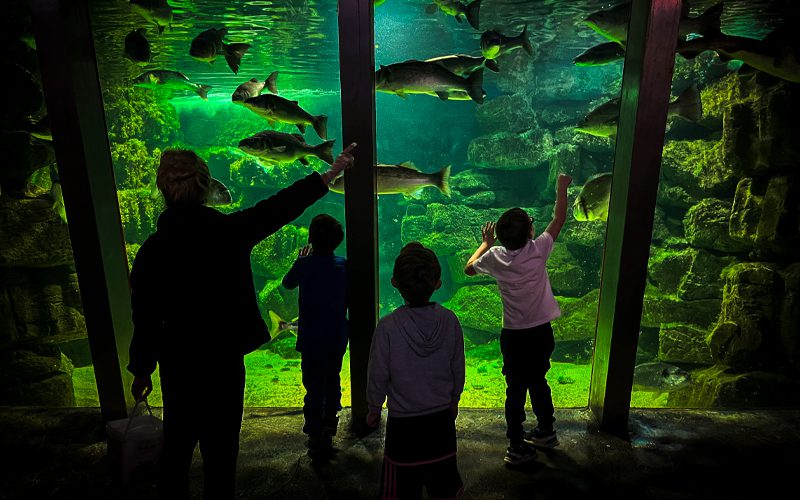 Galway Aquarium,