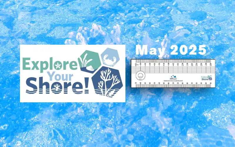 Explore Your Shore MAY