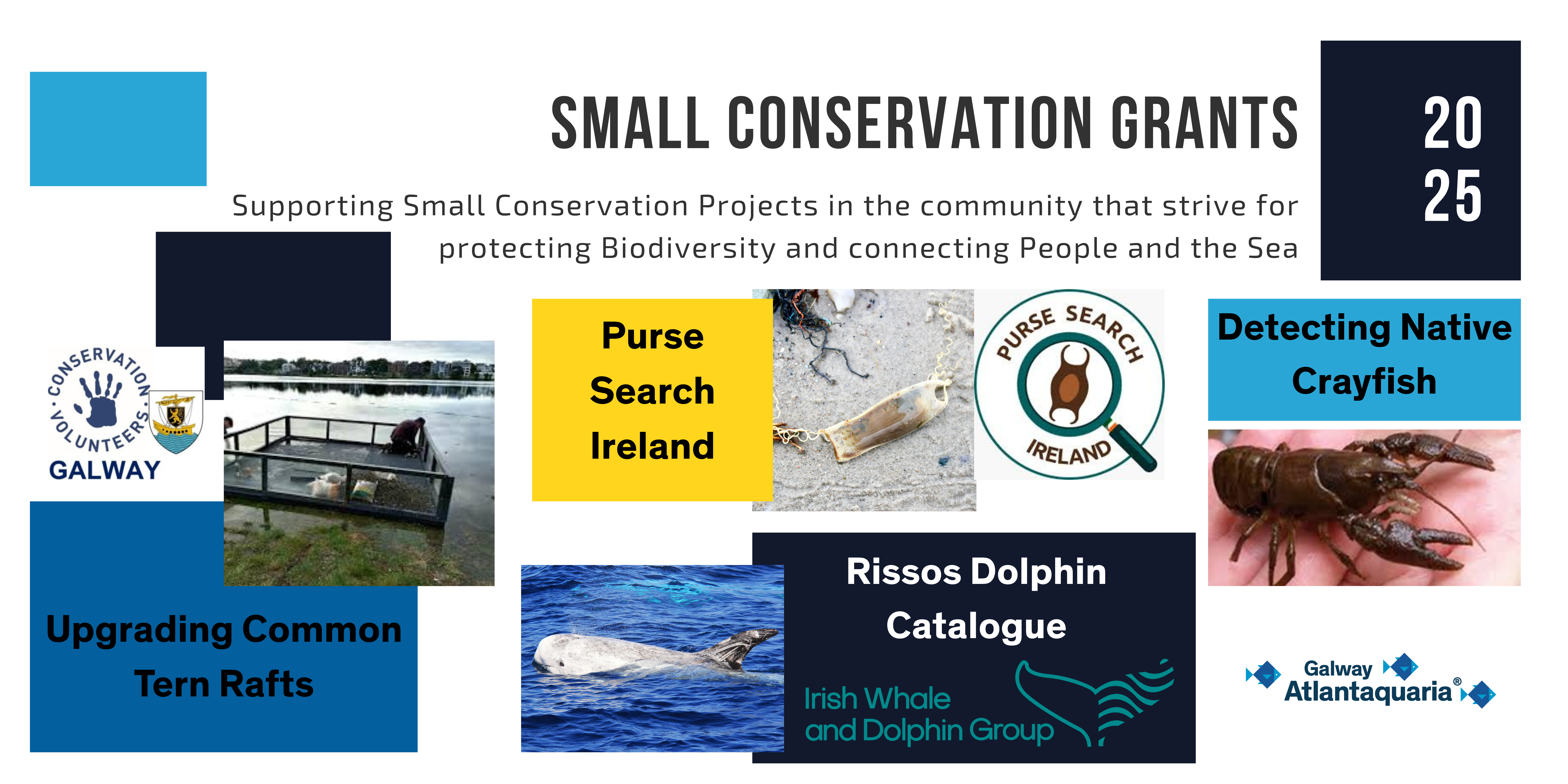 Small Conservation Grant Report 2025 (Medium Banner (US) (Landscape)) (3)