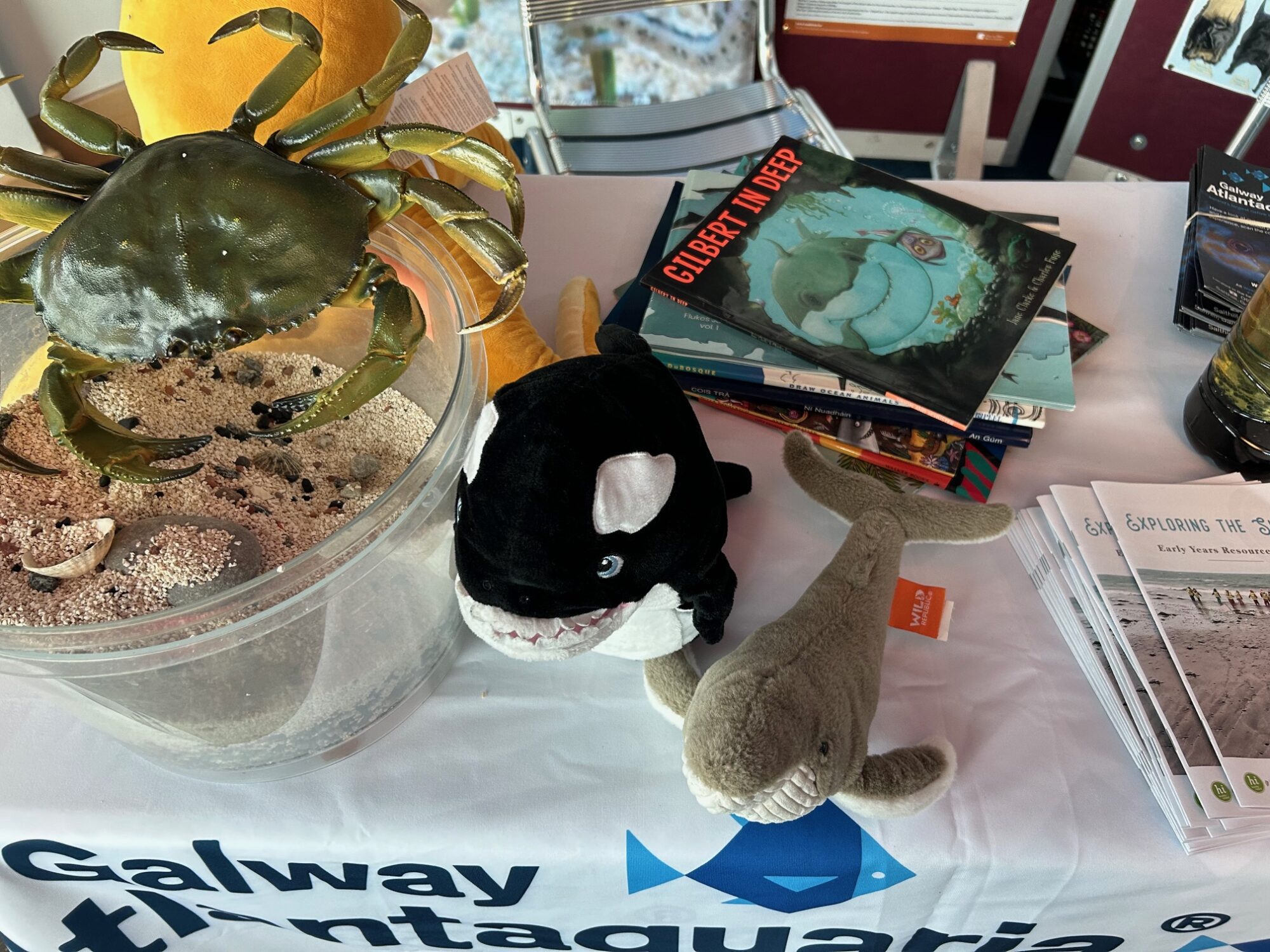 Table of marine items, including teddies, storybooks and a container of sand and shells.