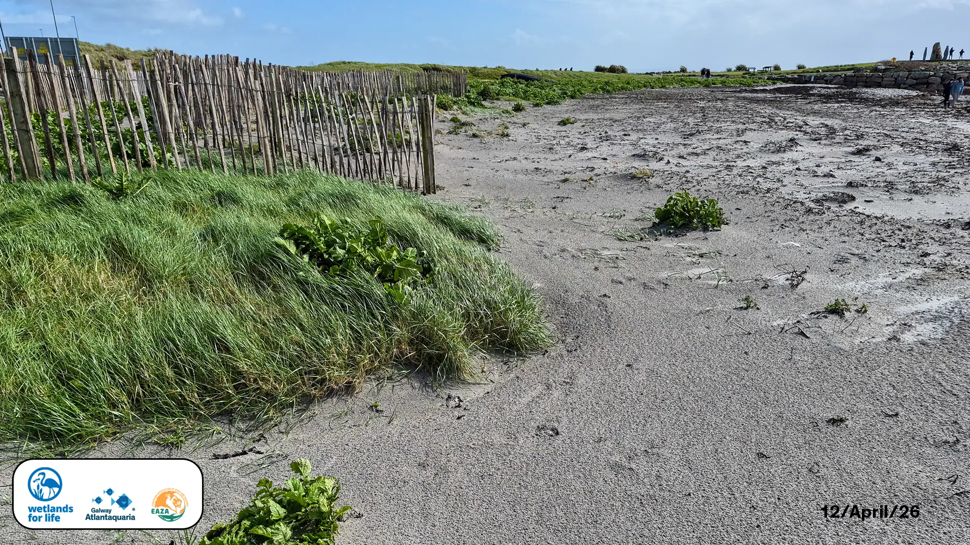 A beach on Grattan Salthill.