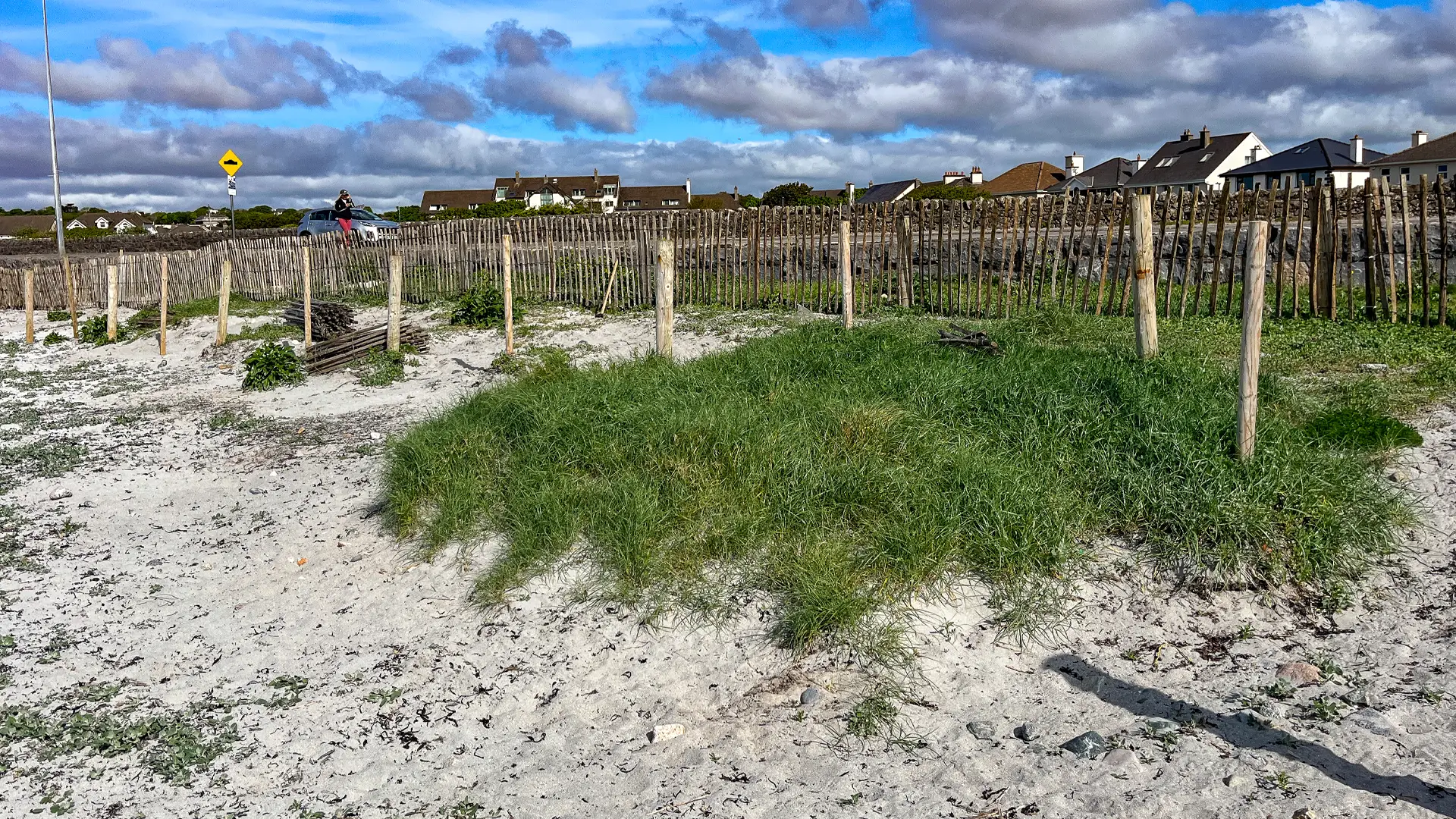 A large area of couch grass on Grattan Beach, Salthill.