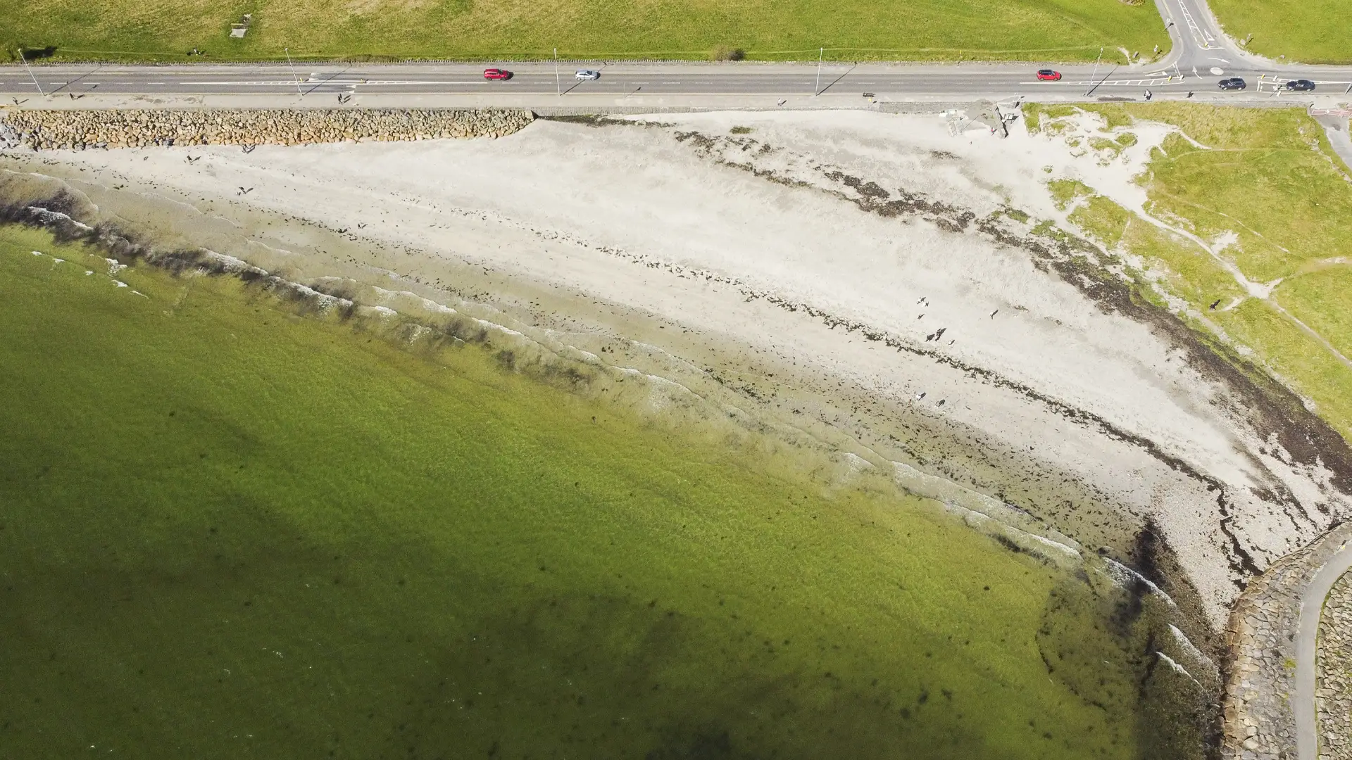 An aerial image of Grattan Beach before the dune fences were installed. Photo from 2022.