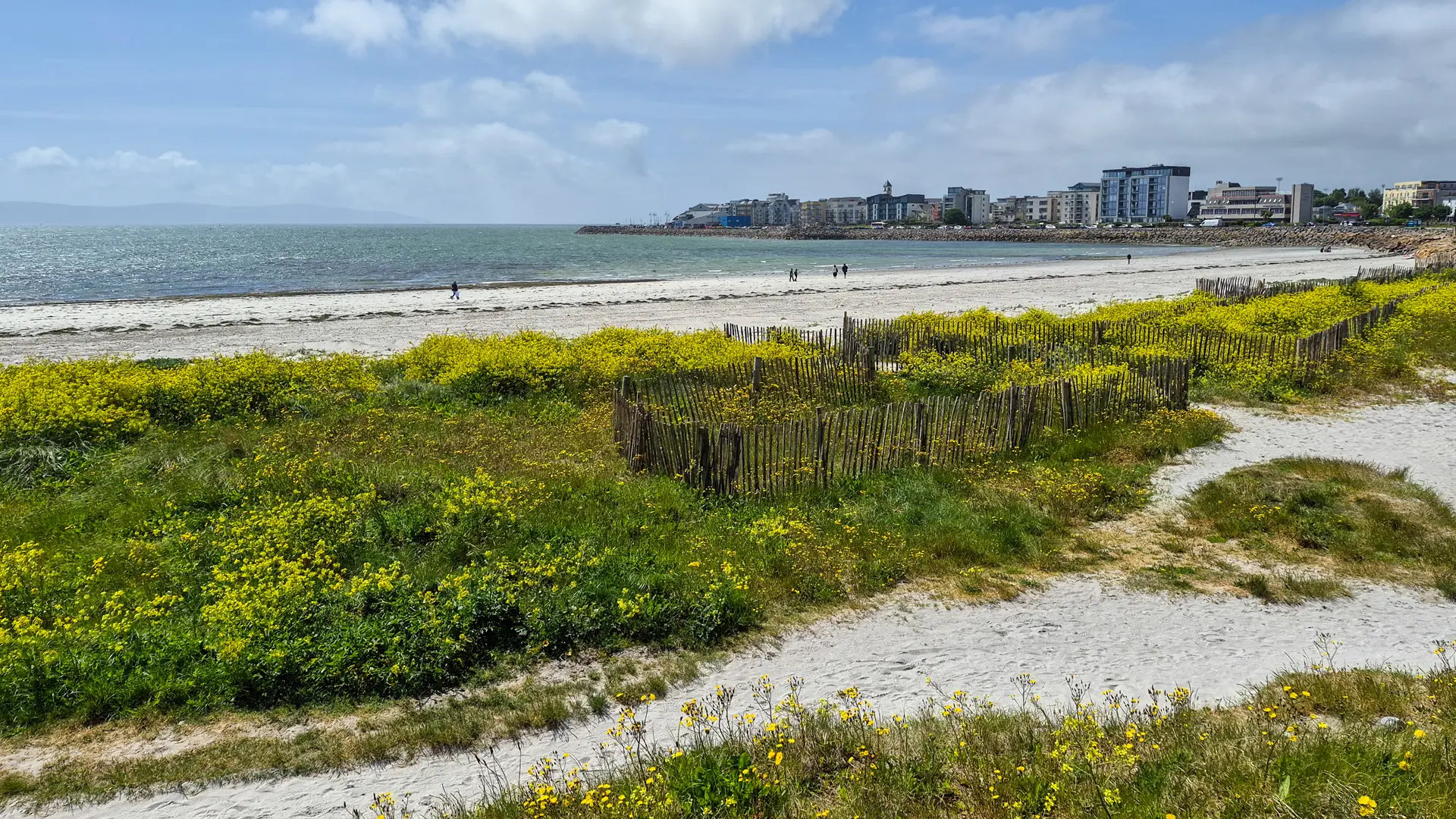 Grattan Beach Sand Fence Project Salthill Galway City