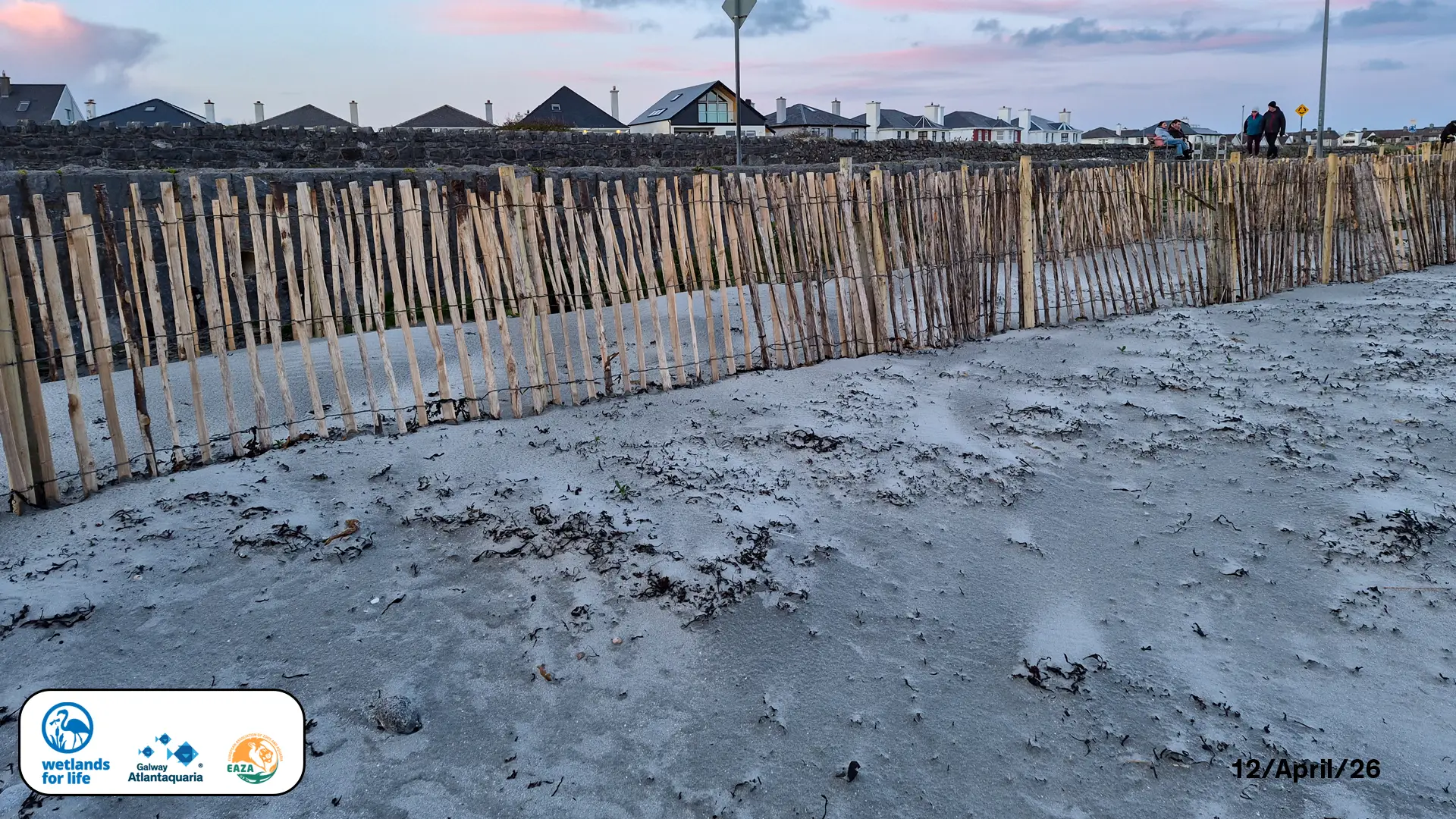 MASTER WFL CAMPAIGN FRAME 2026 16 04 2026 copy