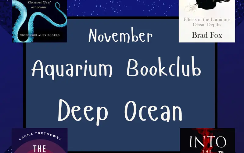 NOVEMBER Book Club 2025