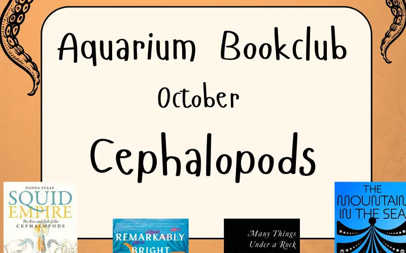October book club review.