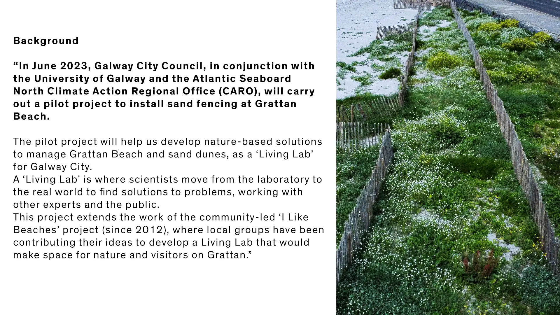 Text about the development of the Sand Fence Project, it has a photo of the dunes to the right of the image.