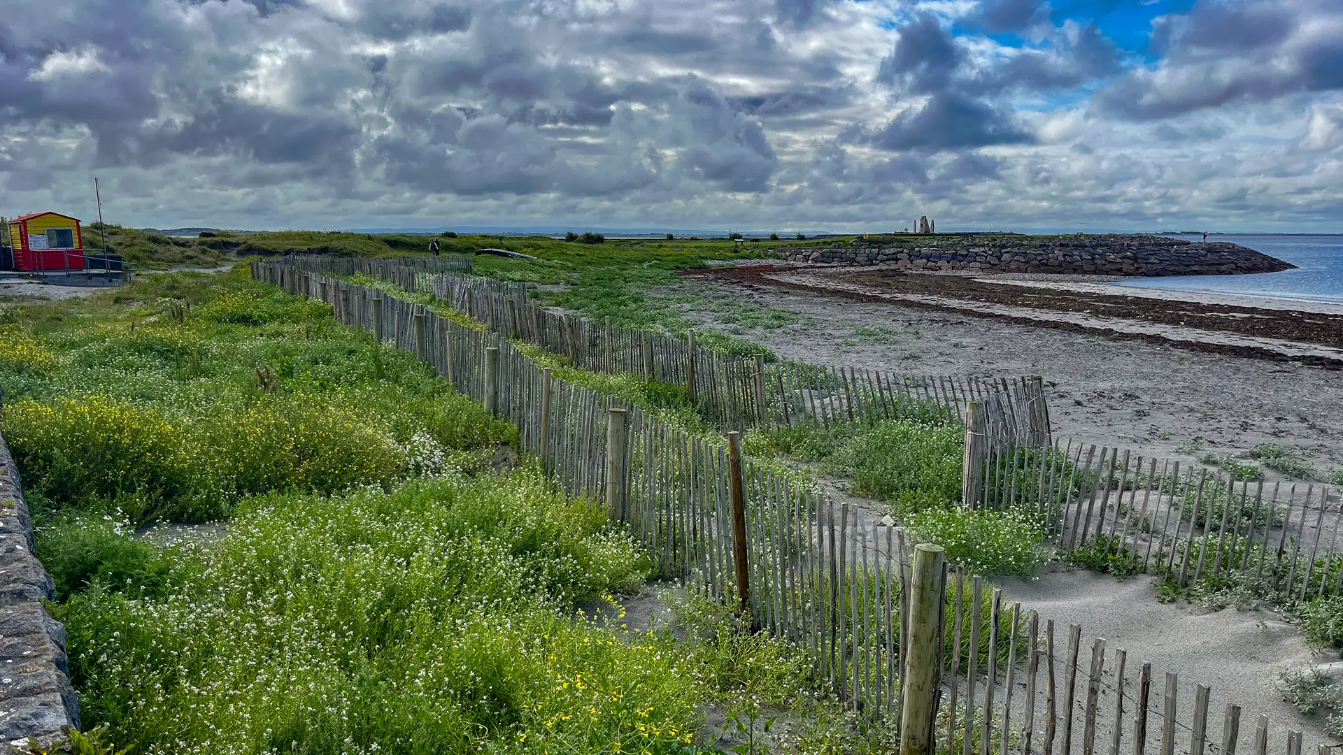 The Sand Fences Project in Salthill, Galway City. The fences are surrounded by different types of Flora.