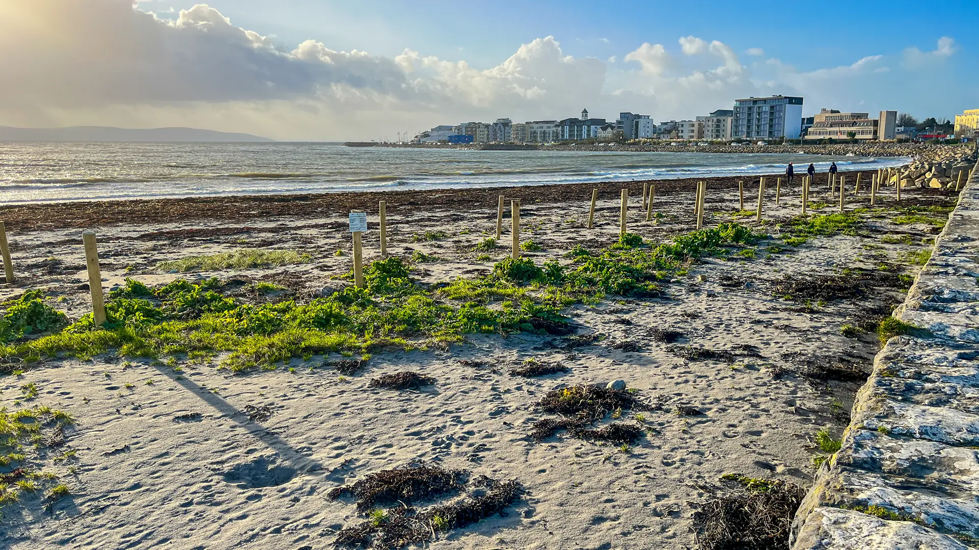 The Sand Fences project in early 2023.