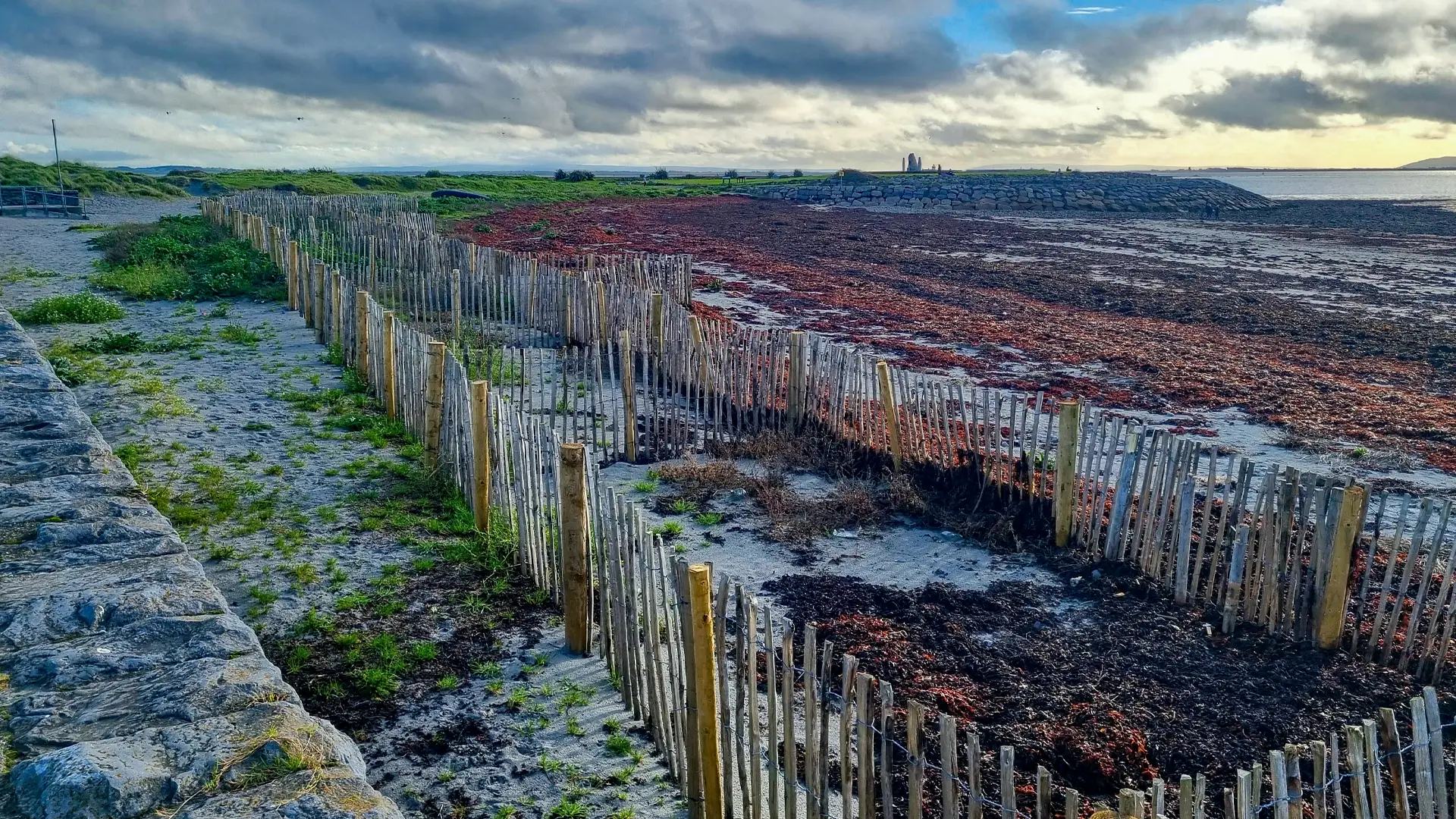 The small sand fences strecth across the beach, there is much sand and little vegitation.