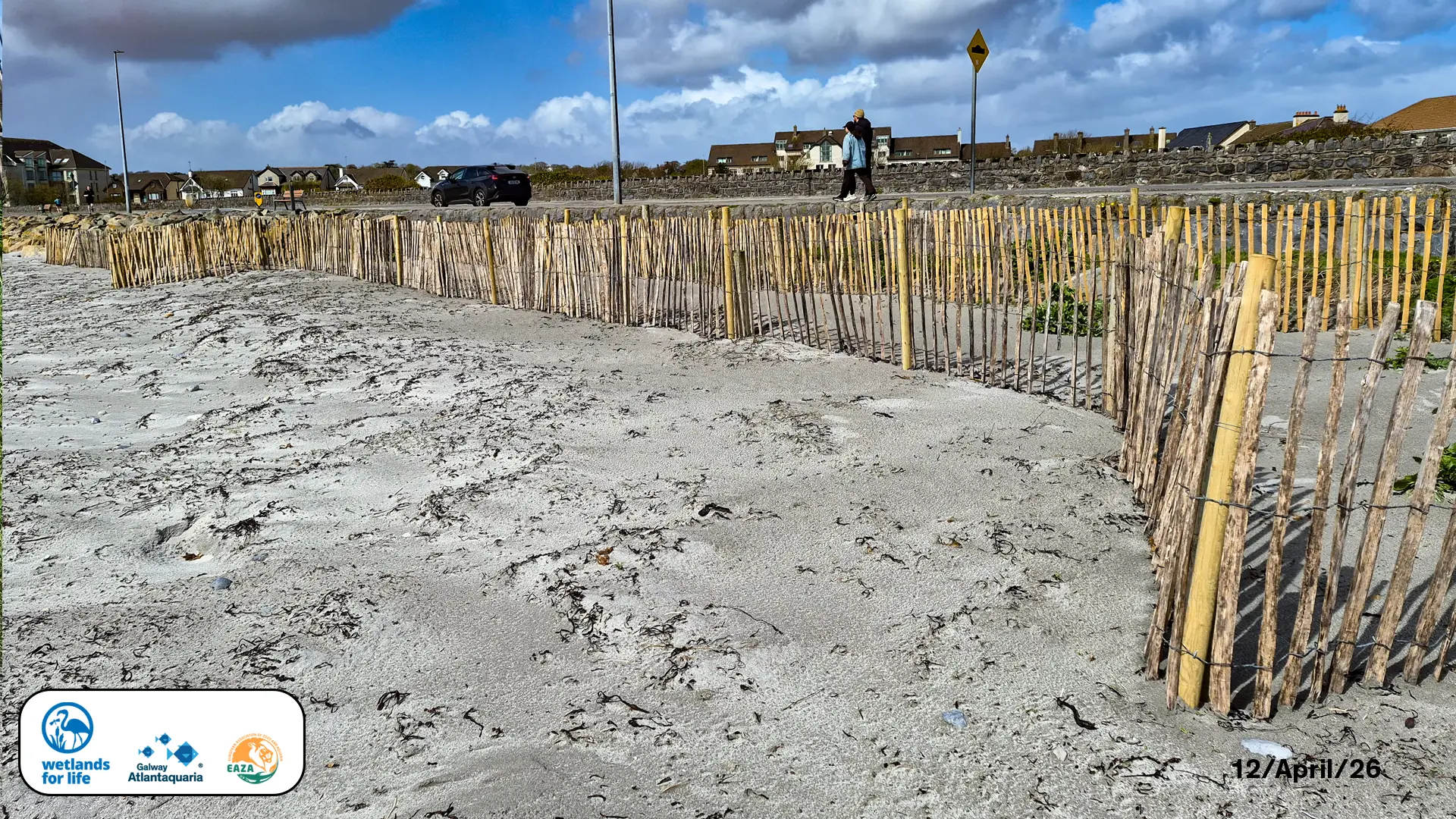 This is a sand fence project in salthill, the sand will get stuck in the fences and allow flora and dunes to florish.