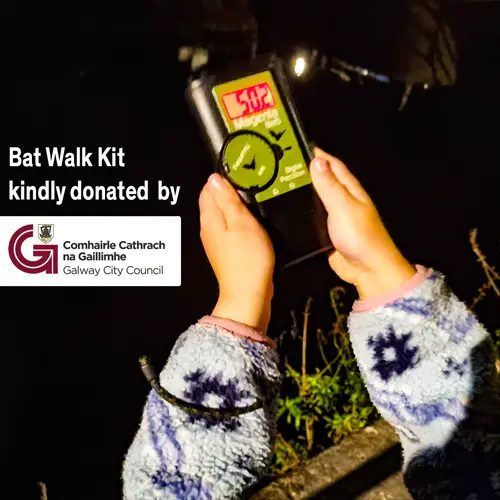 a child holds a bat detector over a river in Galway City.