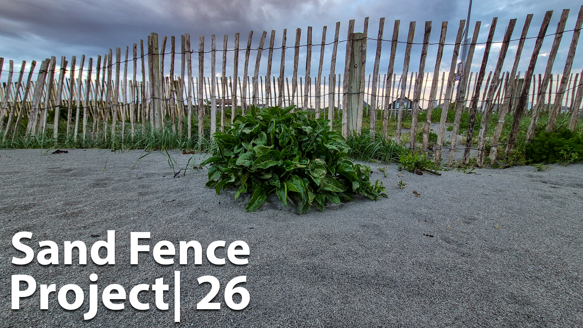 sand fence 4 25 04 2026