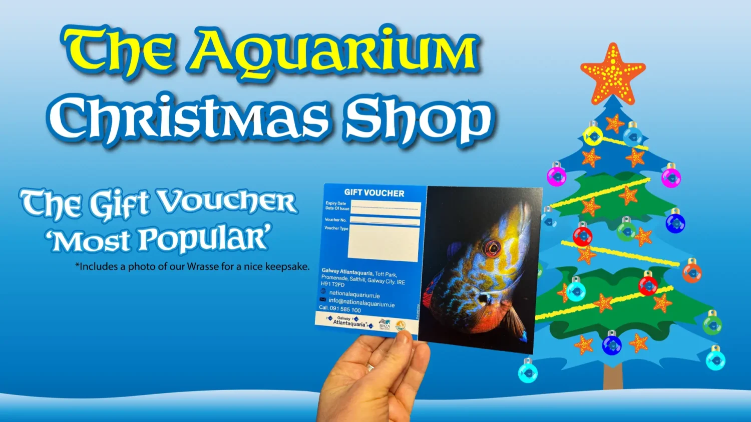 A decorative ad for Christmas Gift Vouchers in the Aquarium