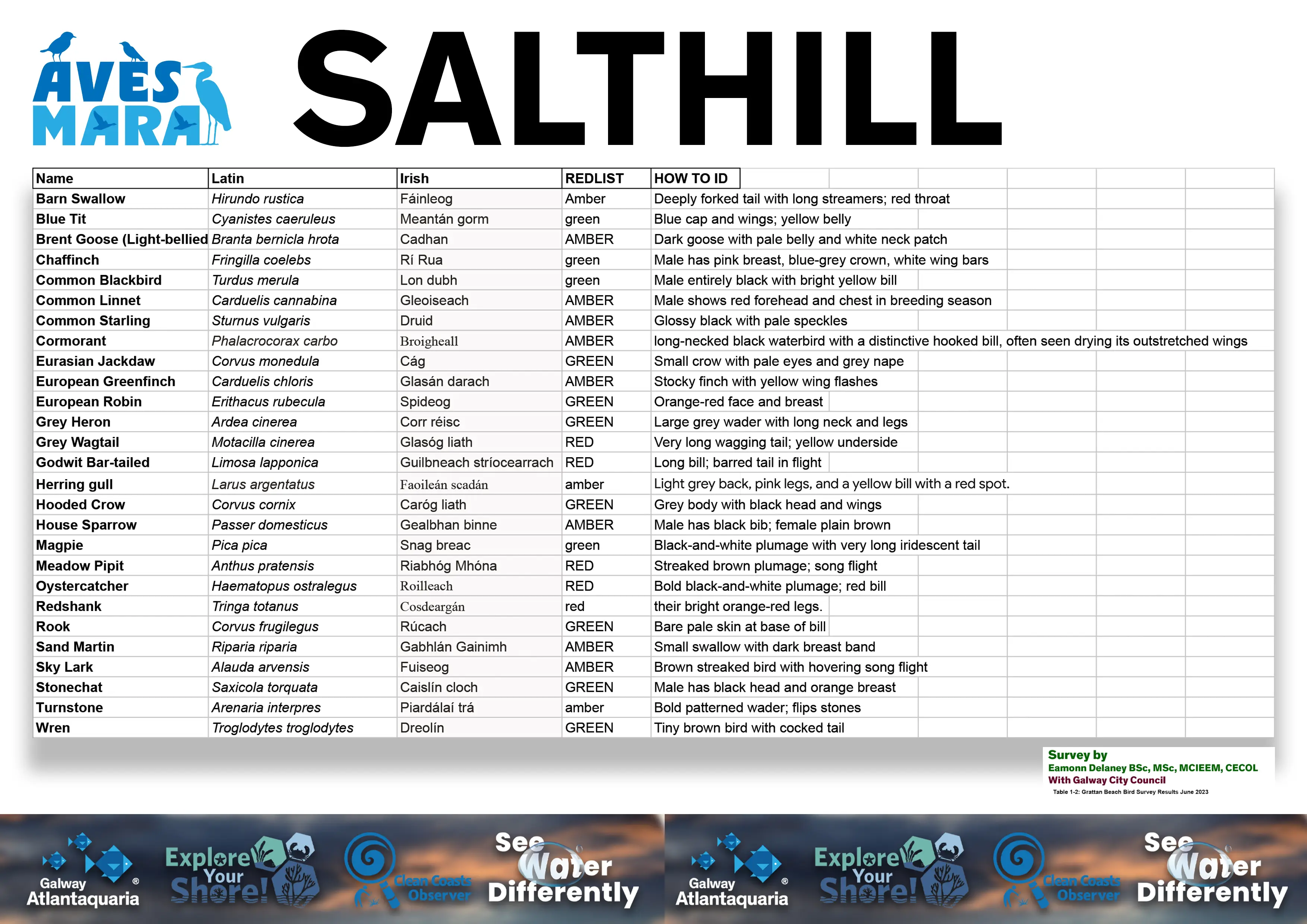A list of birds that can be found in salthill, it includes the latin name and identification key.