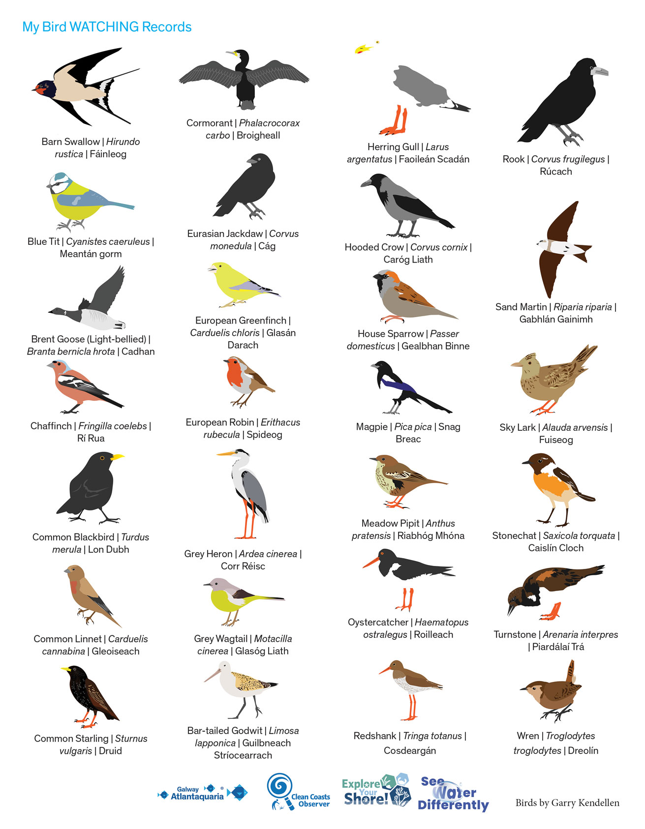 A4 Bird Recorder jpeg 2026