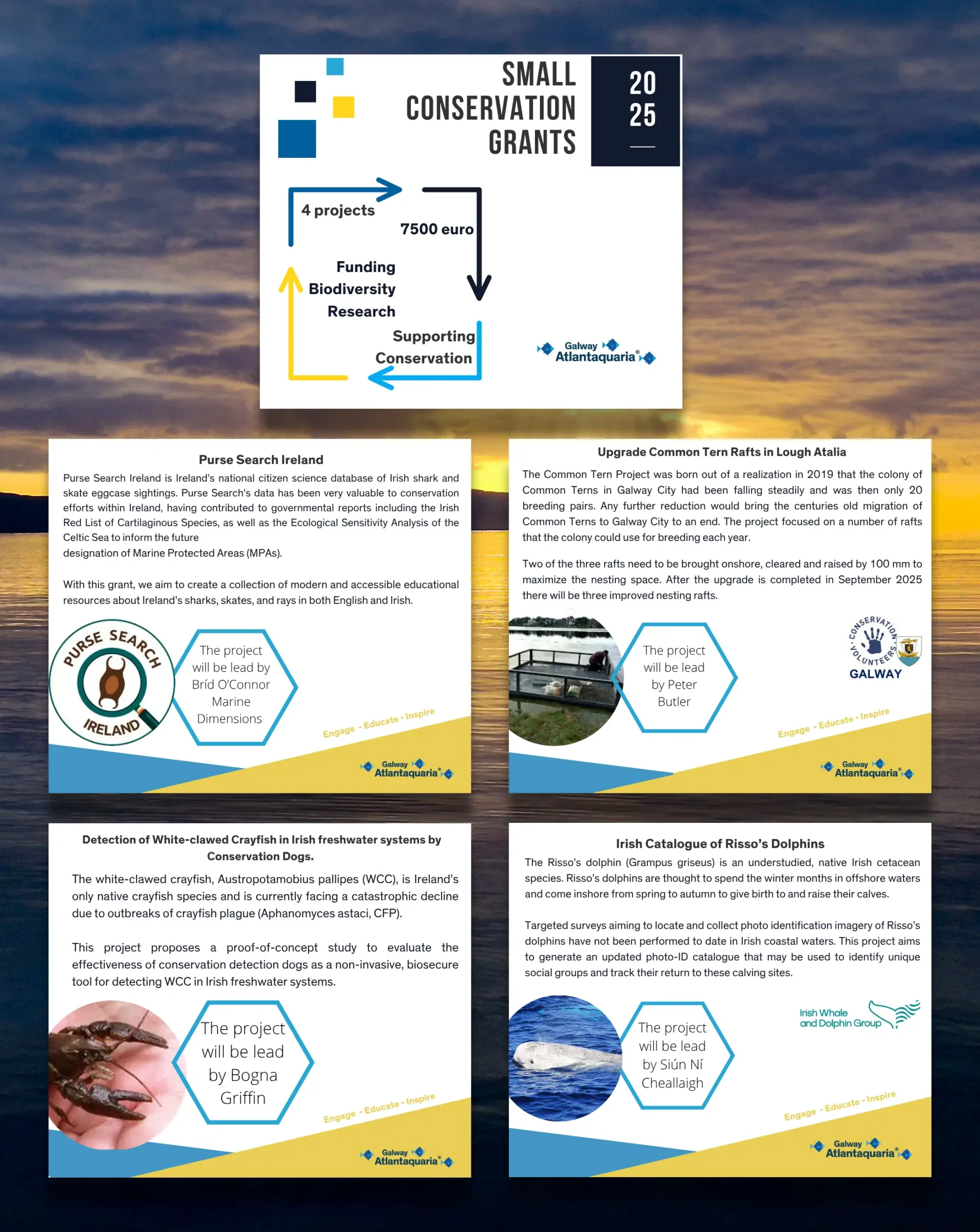 small conservation grants graphic.