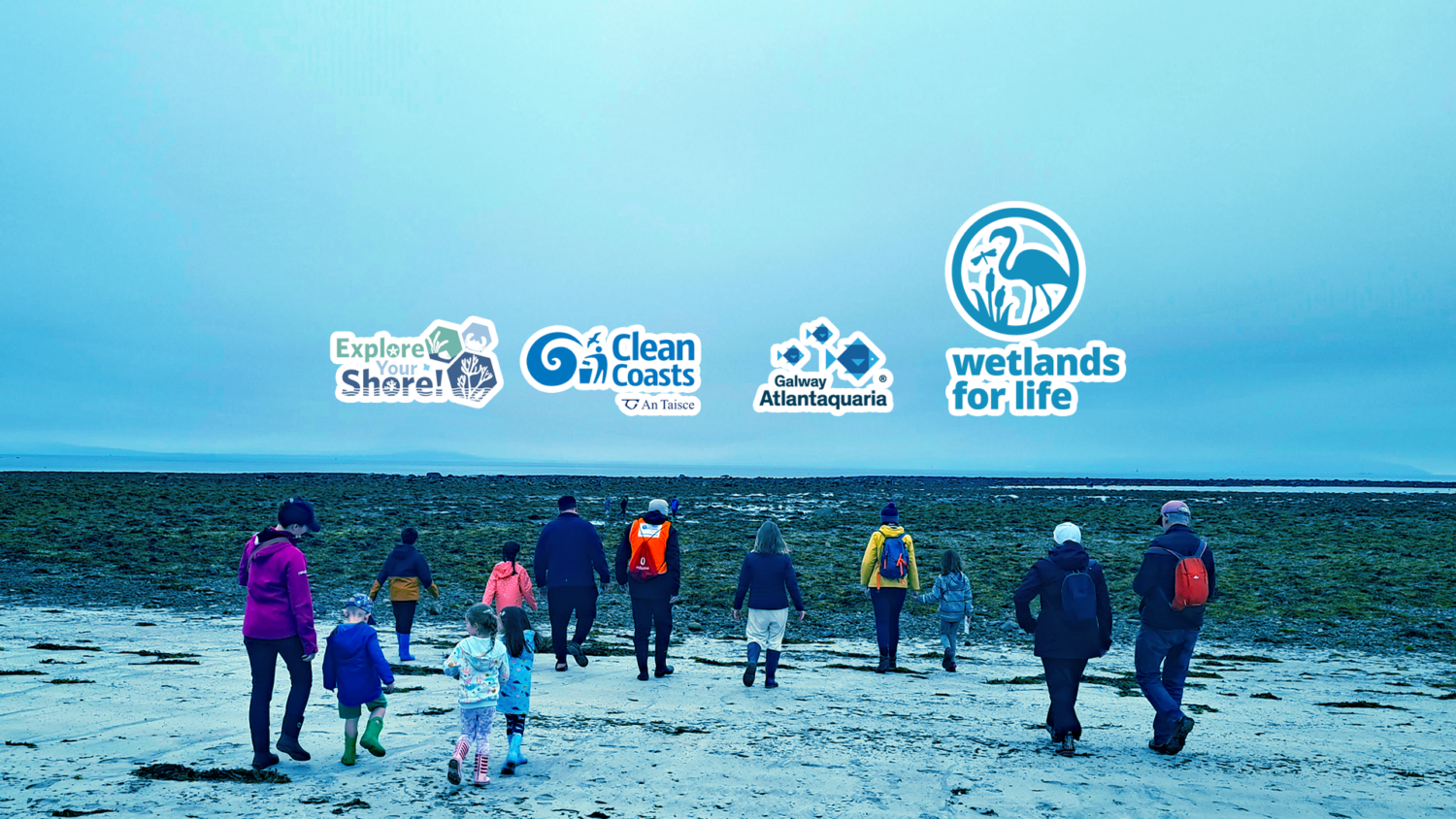 Clean Coasts Observer ad.