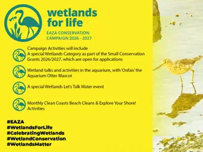 WETLAND FOR LIFE campaign launch image with bird