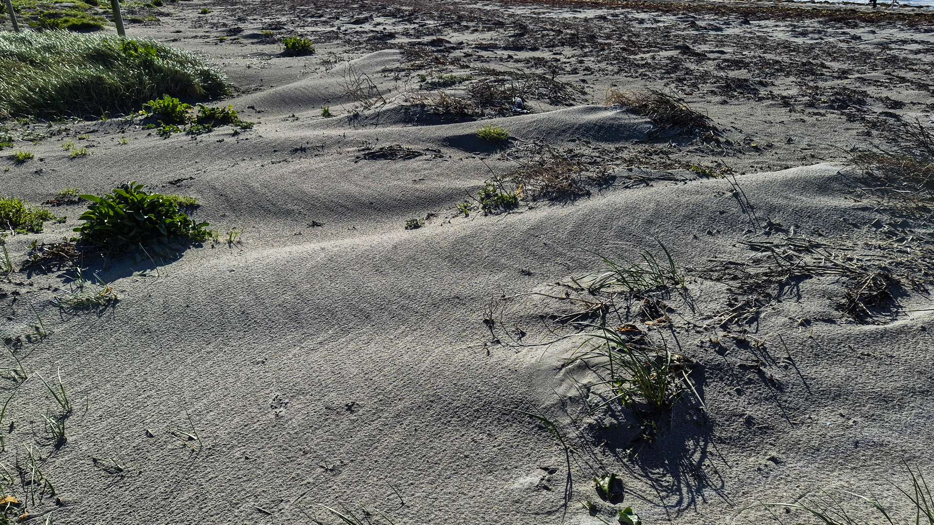 dune recording 3 25 03 2026