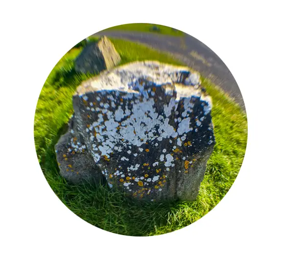 A large rock covered in Lichens on Grattan Beach Salthill, Galway City.