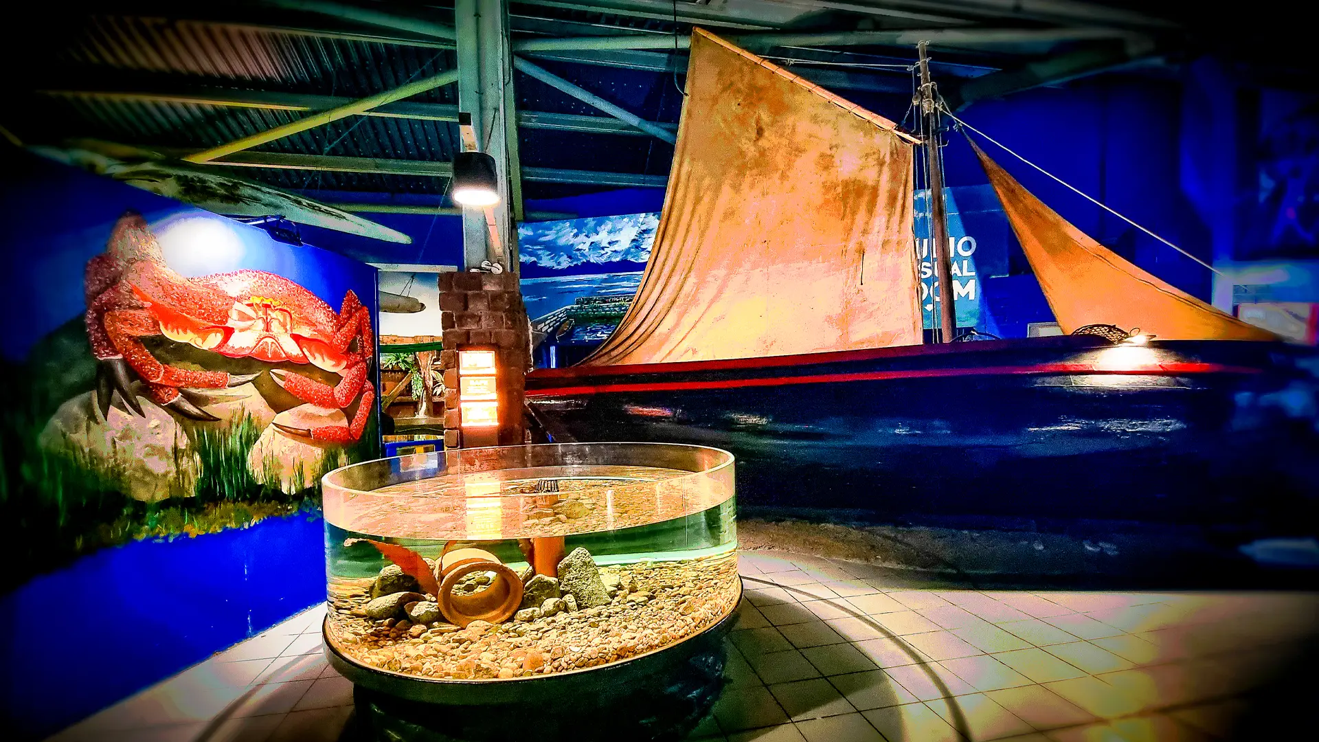 HyBrasil boat and Crab Exhibit in the Aquarium