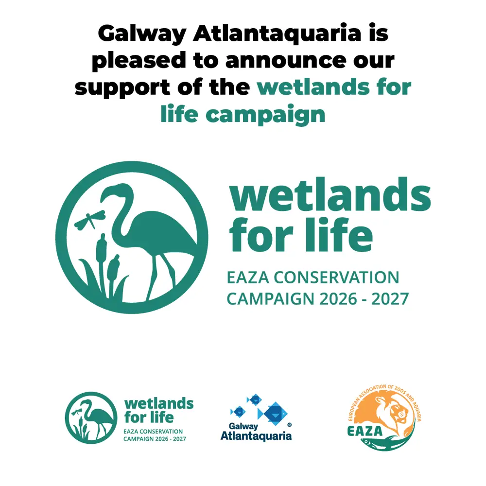 WETLAND FOR LIFE campaign launch with partner logos