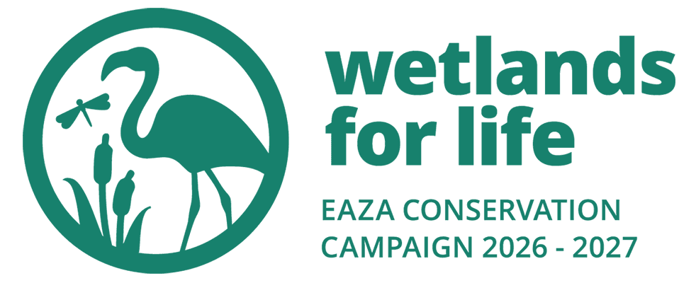 WFL EAZA logo horiz d2e5610aed