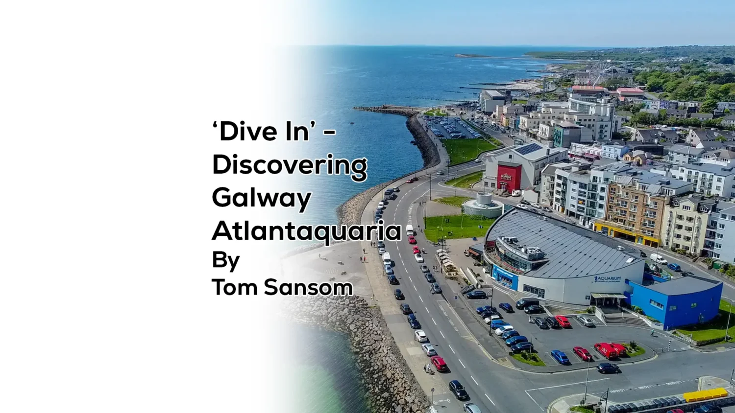 ‘Dive In’ Discovering Galway Atlantaquaria by Tom Sansom