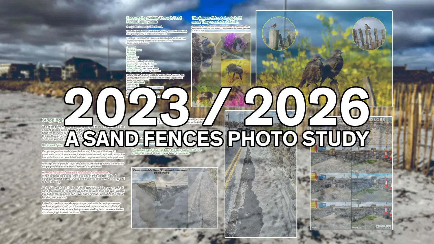 A sand fences photo study 2023 until 2026